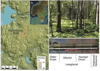 Shotgun Environmental DNA, Pollen, and Macrofossil Analysis of Lateglacial Lake Sediments From Southern Sweden
